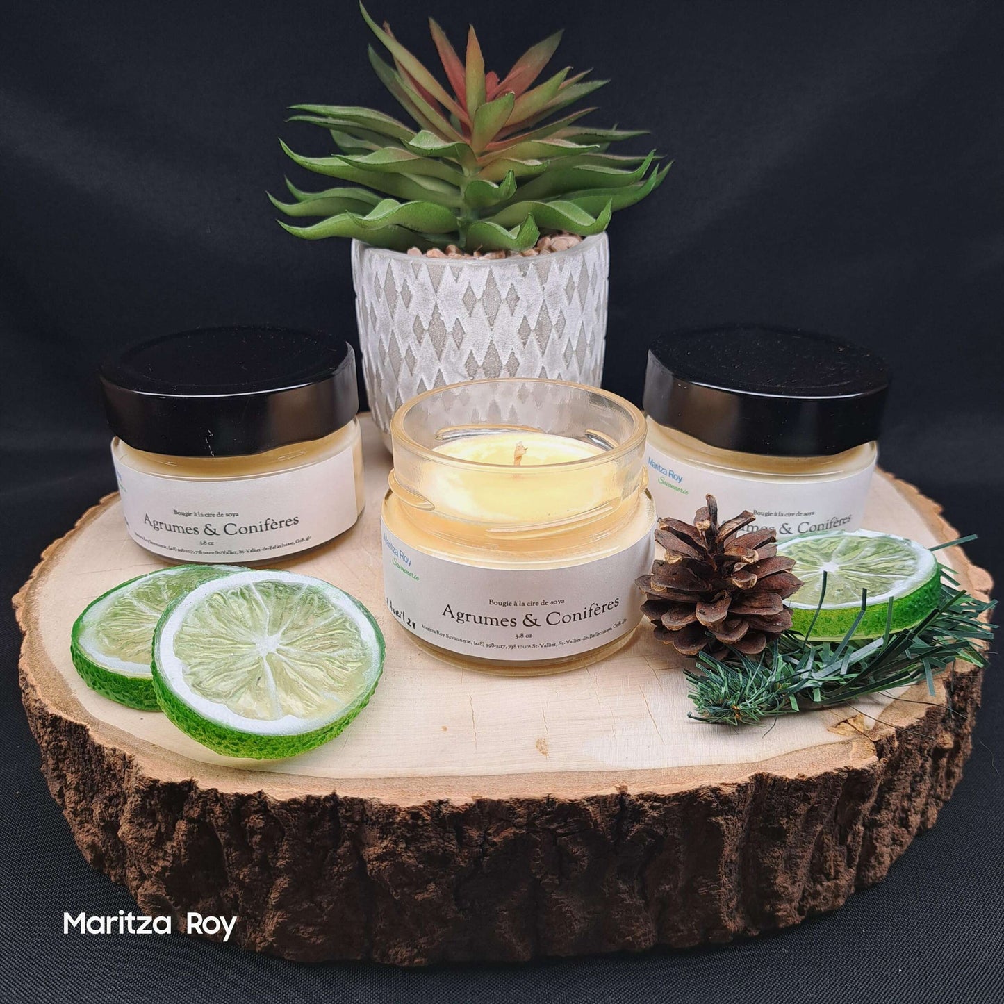Bougie Agrume et Conifère