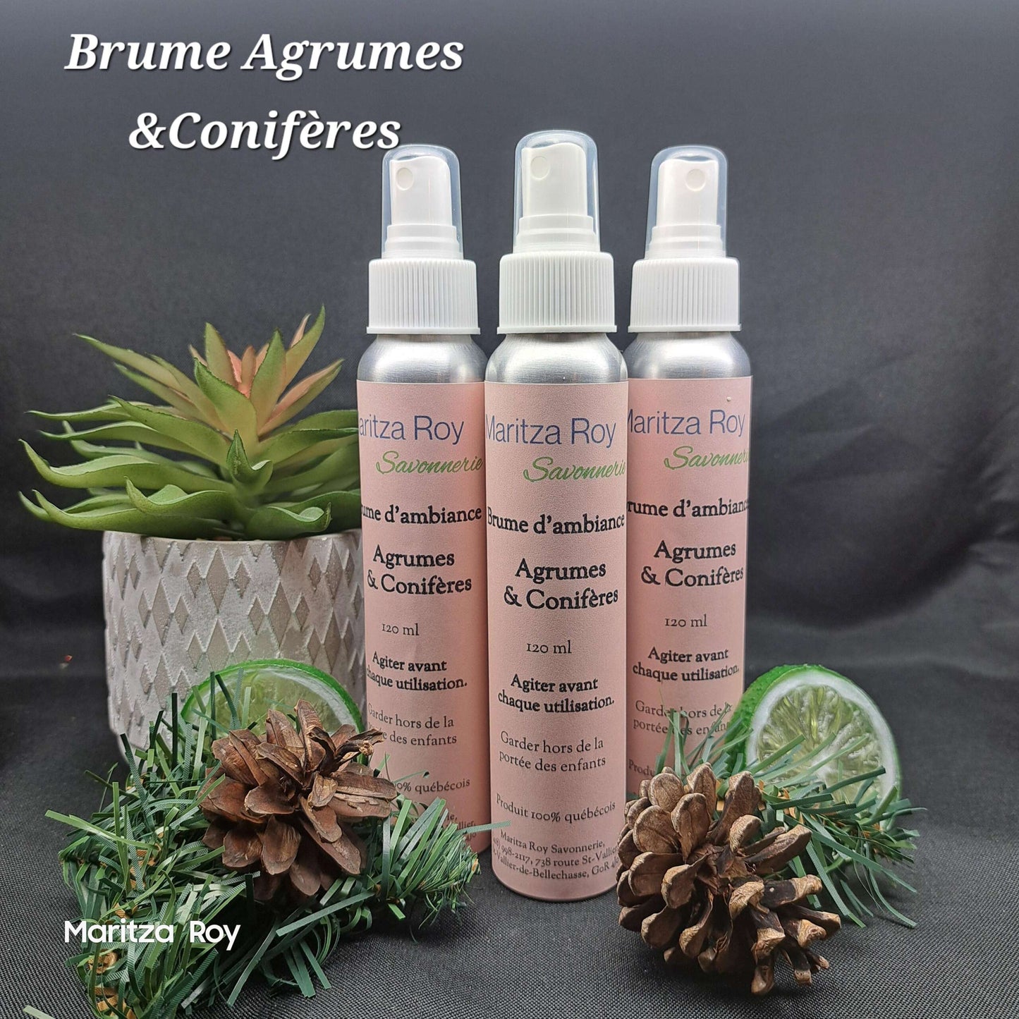 Brume d’ambiance Agrume & Conifère